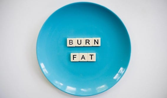 Blue dinner plate with burn fat written on it